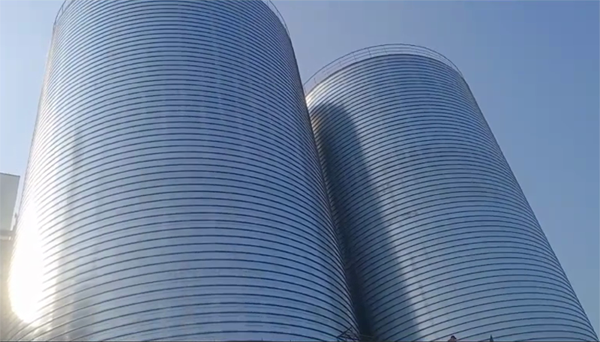 金昌2座混凝土高架卷板仓